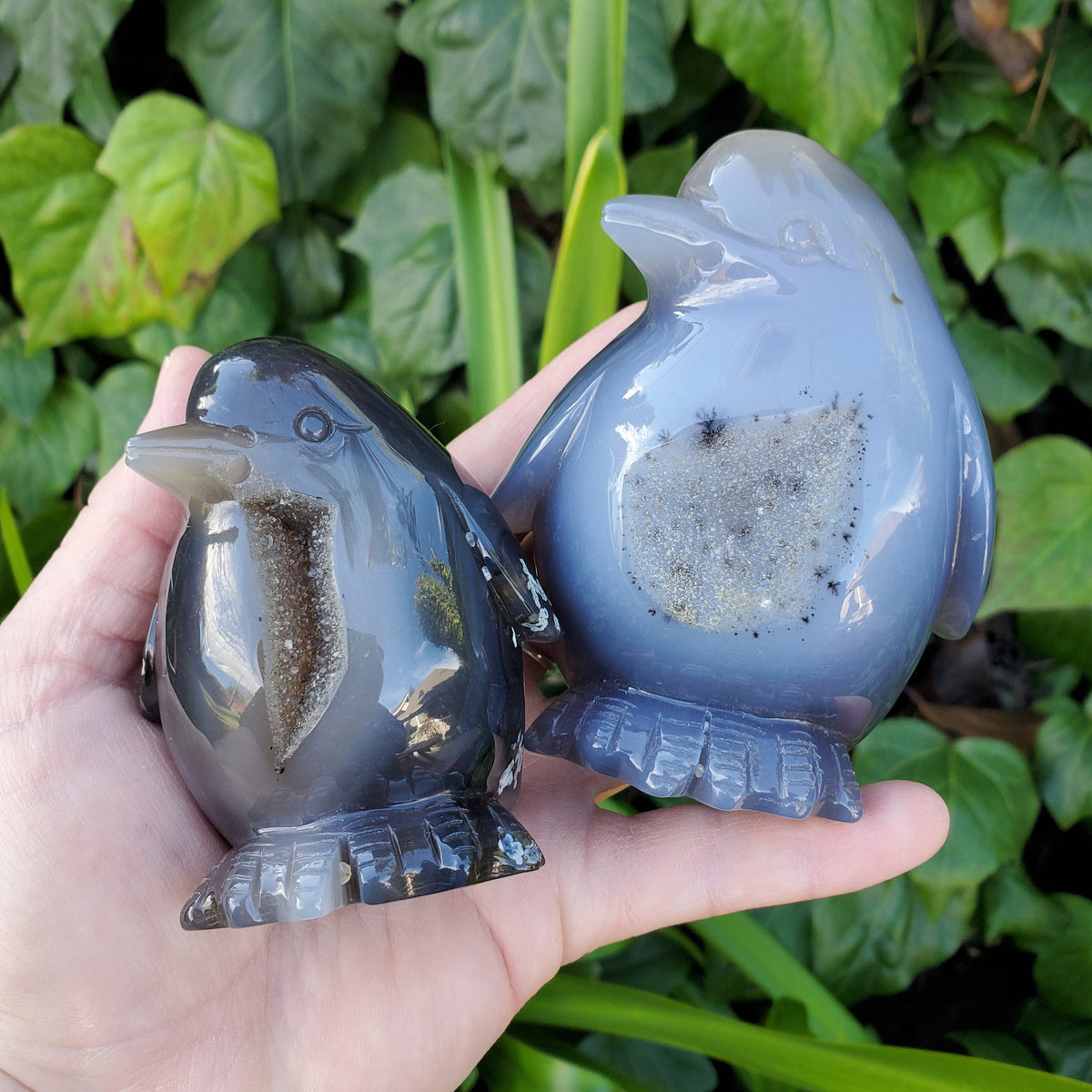Cute Druzy Agate Penguin - Protection, Security, Emotional Stability, Gentle Energy - Carved Penguin Crystal Healing Crystals Gemstones
