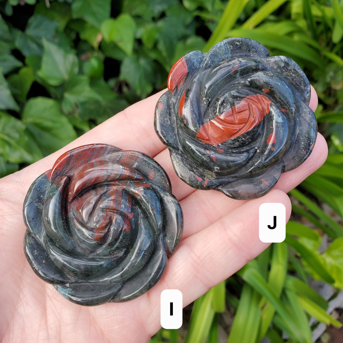 African Bloodstone Rose - Calming, Grounding, Persistence, Courage - Black and Red Crystal Flower Carving Healing Gemstone