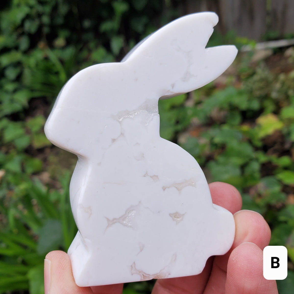 Snow Agate Bunny - Balances Females Ying Yang Energy - White Plume Agate Bunny Stone Healing Crystals Gemstones
