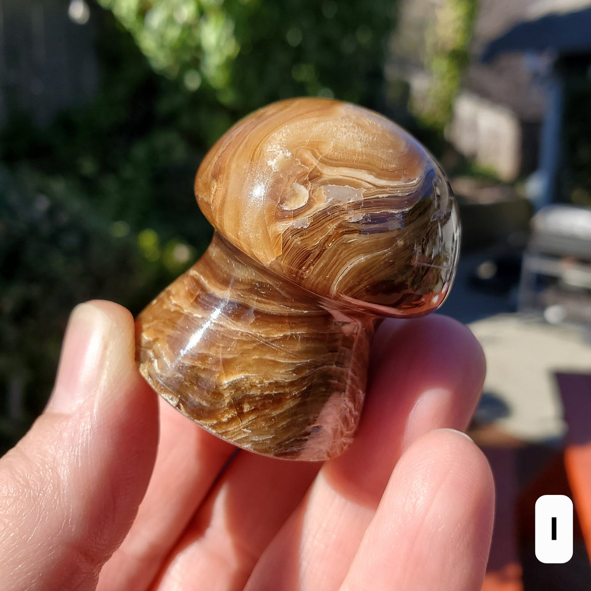 Cute Chocolate Calcite Mushroom - Awareness, Calming, Cleansing, Personal Growth - Calcite Mushie Carving Healing Gemstones