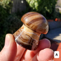 Cute Chocolate Calcite Mushroom - Awareness, Calming, Cleansing, Personal Growth - Calcite Mushie Carving Healing Gemstones