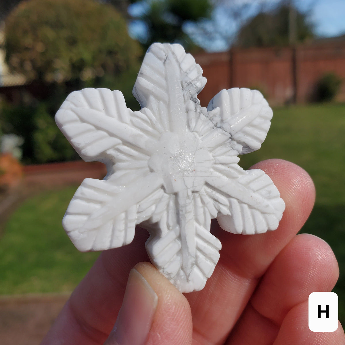 Small Howlite Snowflake - Calm, Confidence, Emotional Healing - Howlite Crystal Snowflake Healing Crystals Gemstones