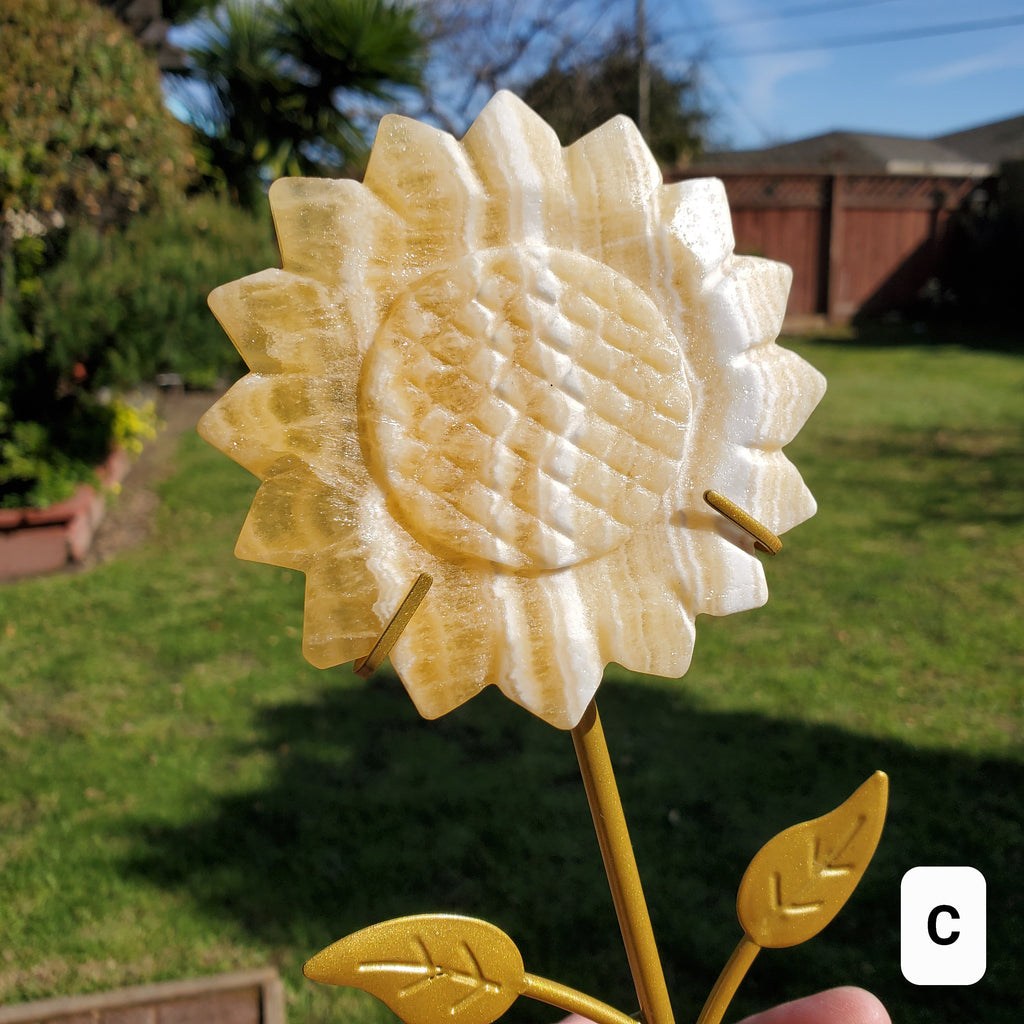 Orange Calcite Sunflower on Stand - Confidence, Self-Esteem, Creative & Sexual Energy - Calcite Crystal Sunflower Healing Gemstone