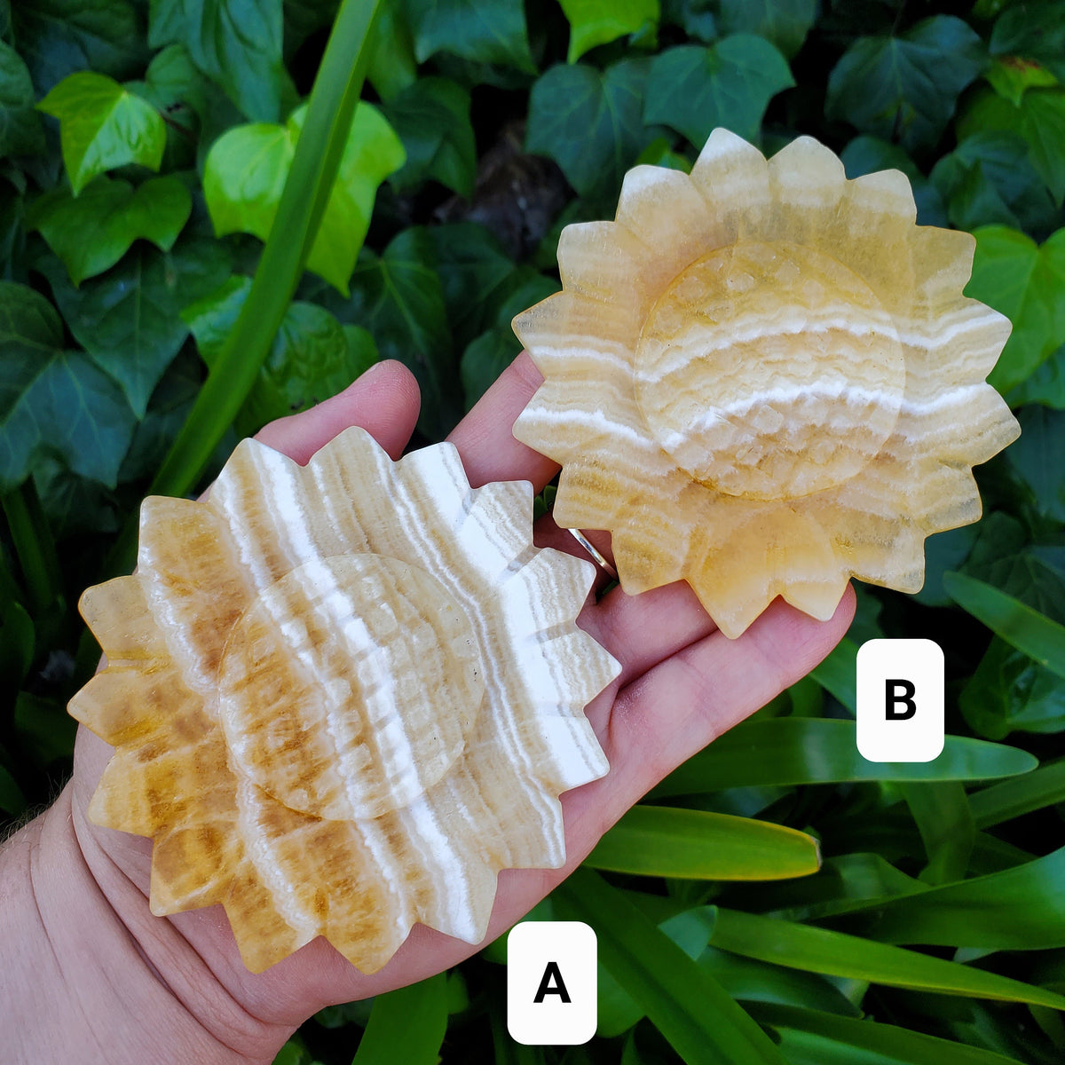 Orange Calcite Sunflower on Stand - Confidence, Self-Esteem, Creative & Sexual Energy - Calcite Crystal Sunflower Healing Gemstone