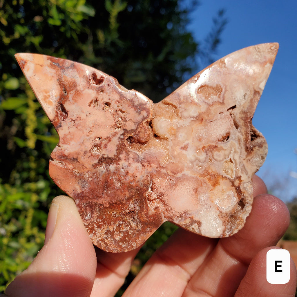 Pink Lace Agate Butterfly with Druzy - Balance of the Physical, Mental, Emotional - Pink Agate Crystal Butterfly Carving