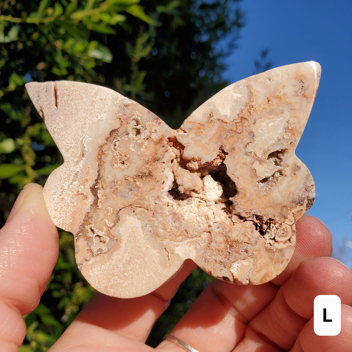 Pink Lace Agate Butterfly with Druzy - Balance of the Physical, Mental, Emotional - Pink Agate Crystal Butterfly Carving