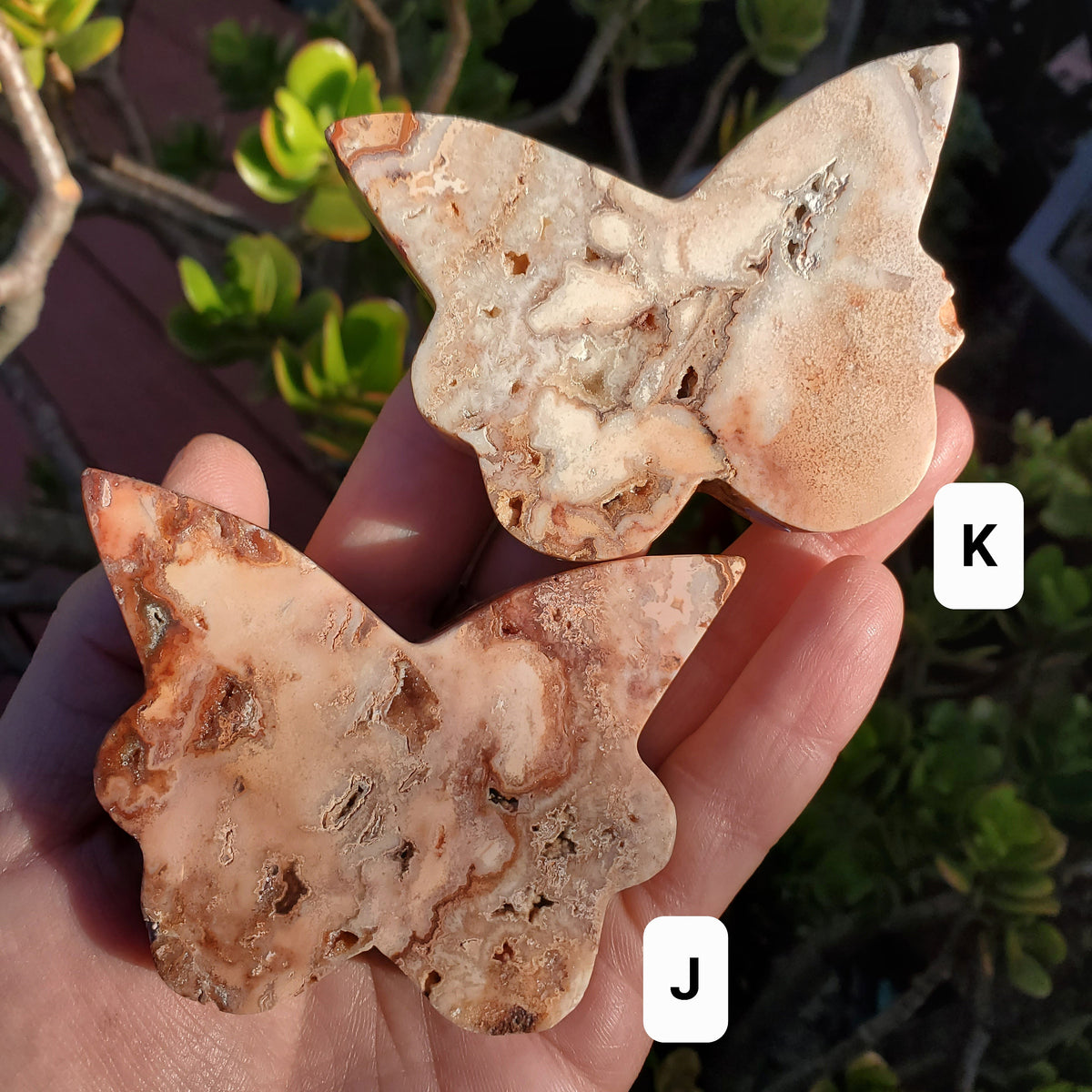 Pink Lace Agate Butterfly with Druzy - Balance of the Physical, Mental, Emotional - Pink Agate Crystal Butterfly Carving