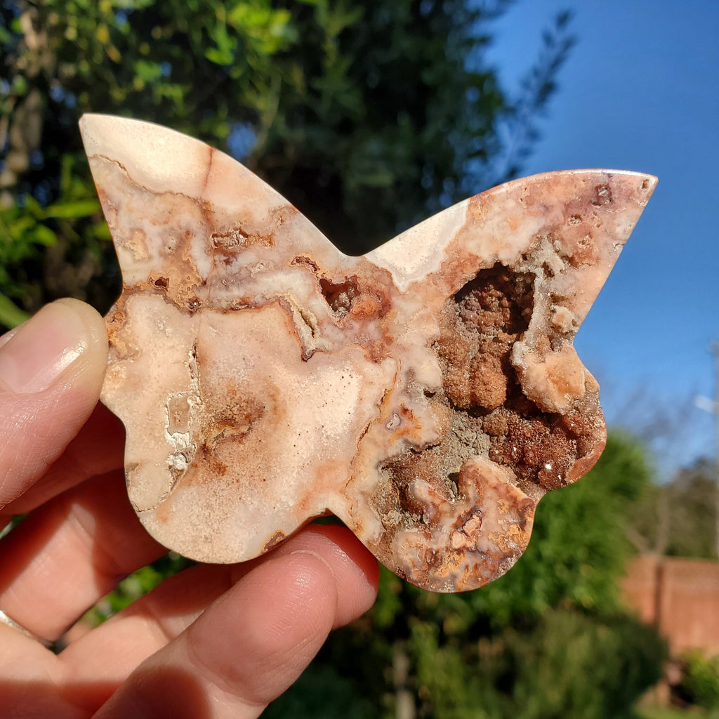 Pink Lace Agate Butterfly with Druzy - Balance of the Physical, Mental, Emotional - Pink Agate Crystal Butterfly Carving