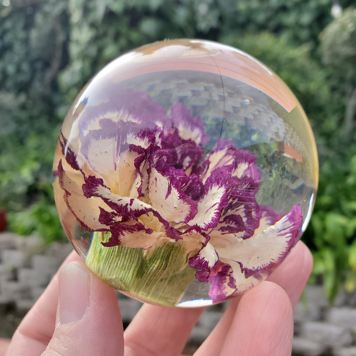 Purple Carnation Resin Sphere with Light Base | Handmade Resin Craft with Real Carnation Inside - Home Décor Night Light, Accent Lighting