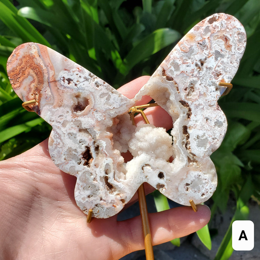 Pink Lace Agate Butterfly on Stand - Balance of the Physical, Mental & Emotional - Pink Agate Crystal Butterfly Healing Gemstone