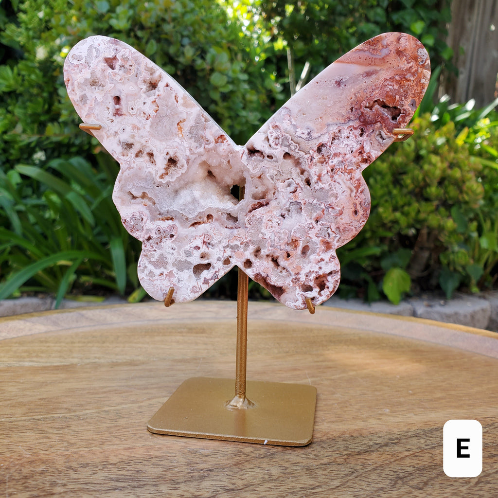 Pink Lace Agate Butterfly on Stand - Balance of the Physical, Mental & Emotional - Pink Agate Crystal Butterfly Healing Gemstone