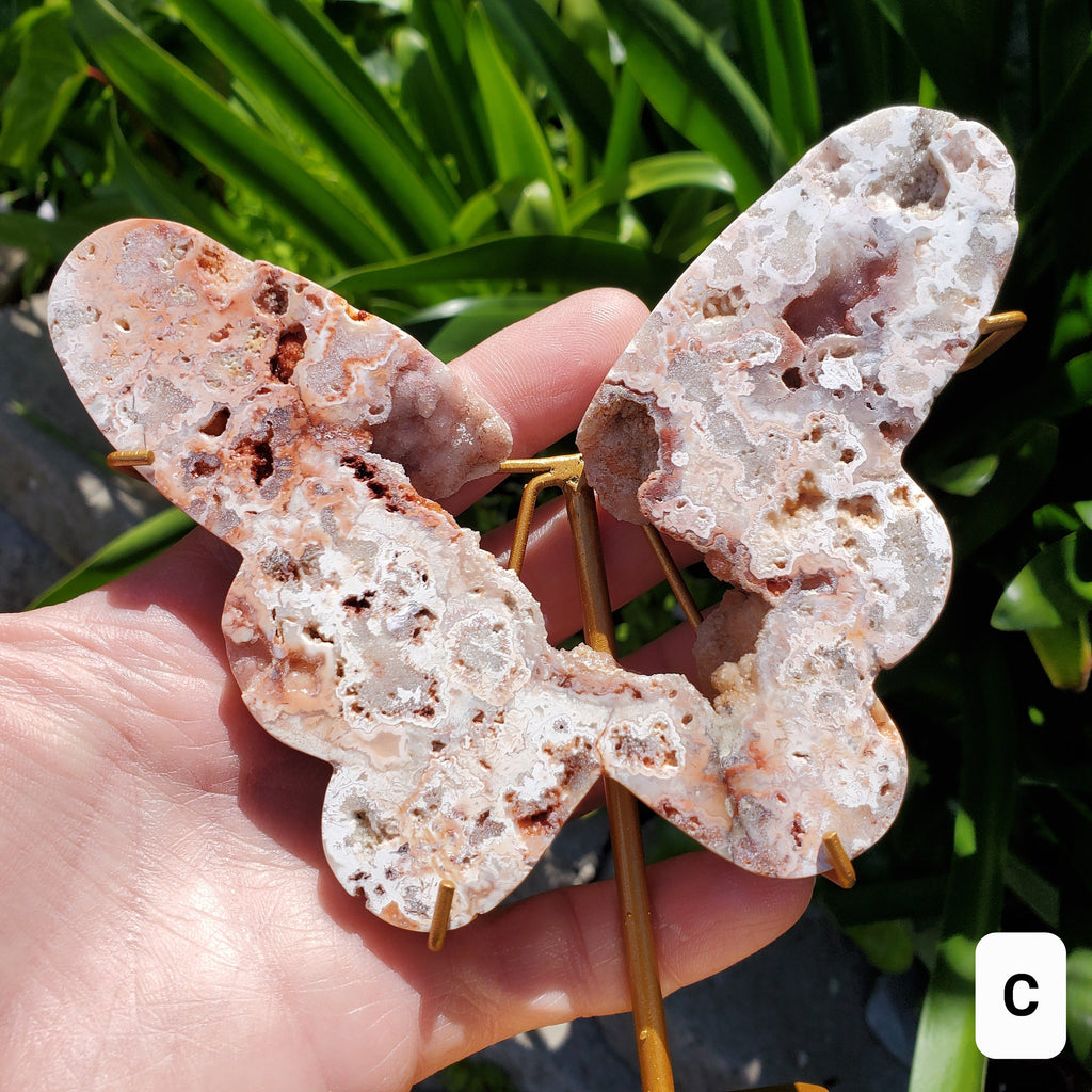 Pink Lace Agate Butterfly on Stand - Balance of the Physical, Mental & Emotional - Pink Agate Crystal Butterfly Healing Gemstone