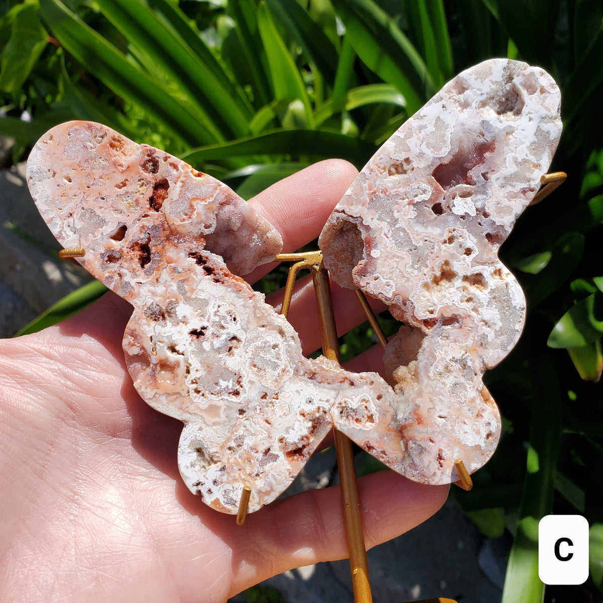 Pink Lace Agate Butterfly on Stand - Balance of the Physical, Mental & Emotional - Pink Agate Crystal Butterfly Healing Gemstone