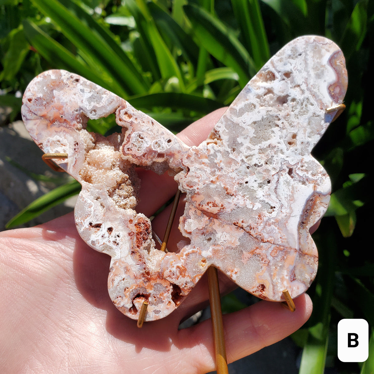 Pink Lace Agate Butterfly on Stand - Balance of the Physical, Mental & Emotional - Pink Agate Crystal Butterfly Healing Gemstone