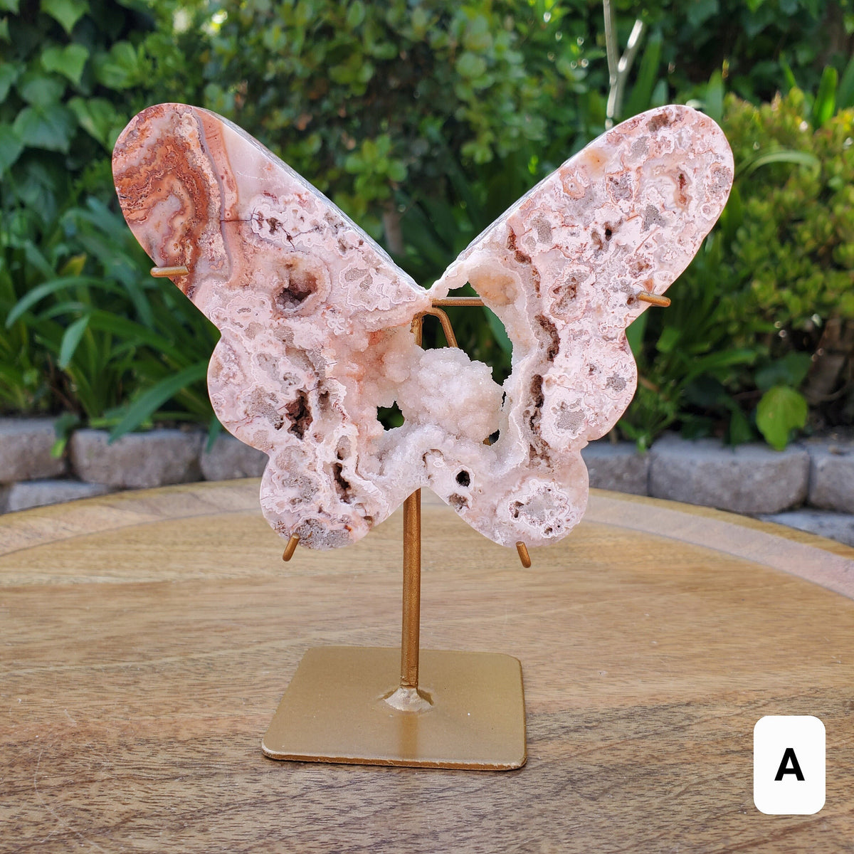 Pink Lace Agate Butterfly on Stand - Balance of the Physical, Mental & Emotional - Pink Agate Crystal Butterfly Healing Gemstone