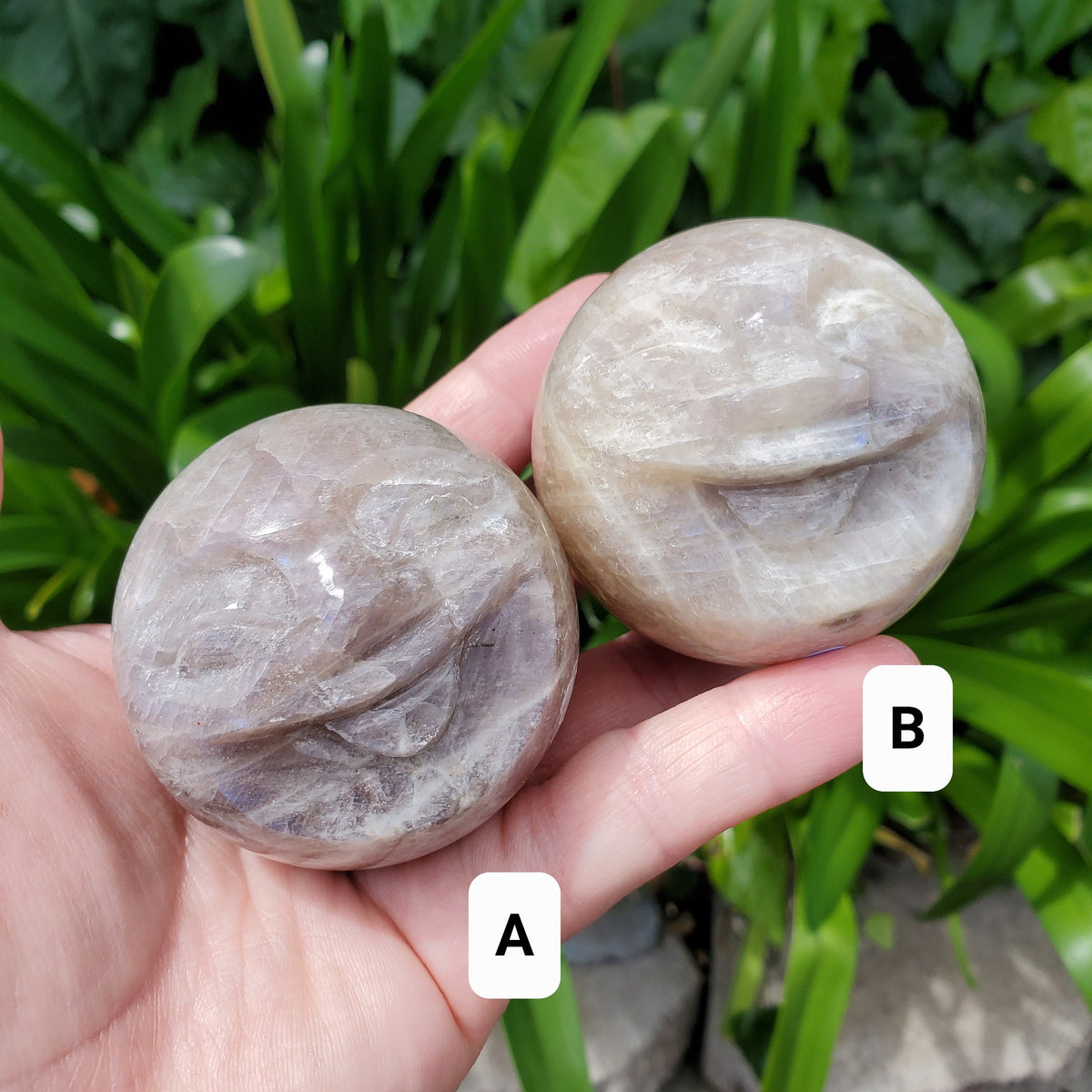 Flashy Moonstone Moon Face Sphere - Uplifting, Raises Vibration, Feminine Energy, Empowering - Flashy Crystal Ball Healing Gemstone