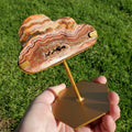 Pink Lace Agate Cloud on Stand - Balance of the Physical, Mental & Emotional - Pink Cloud Crystal Carving Healing Gemstone