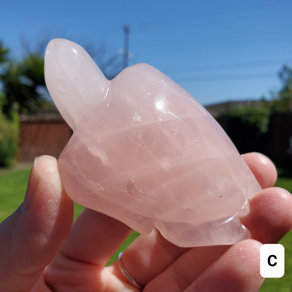 Rose Quartz Turtle - Universal & Unconditional Love, Compassion, Kindness - Crystal Turtle Healing Gemstone