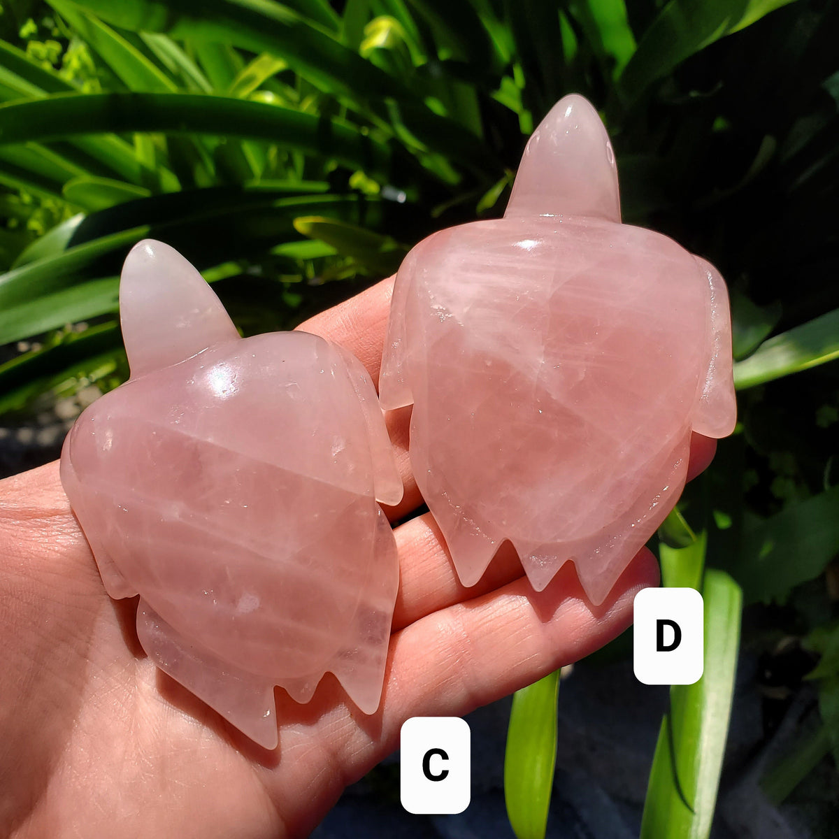 Rose Quartz Turtle - Universal & Unconditional Love, Compassion, Kindness - Crystal Turtle Healing Gemstone