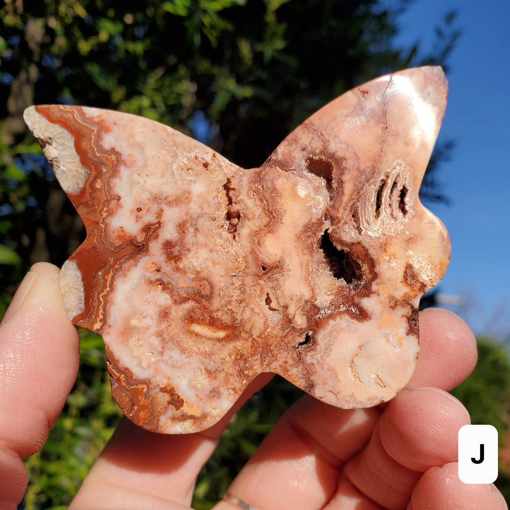 Pink Lace Agate Butterfly with Druzy - Balance of the Physical, Mental, Emotional - Pink Agate Crystal Butterfly Carving