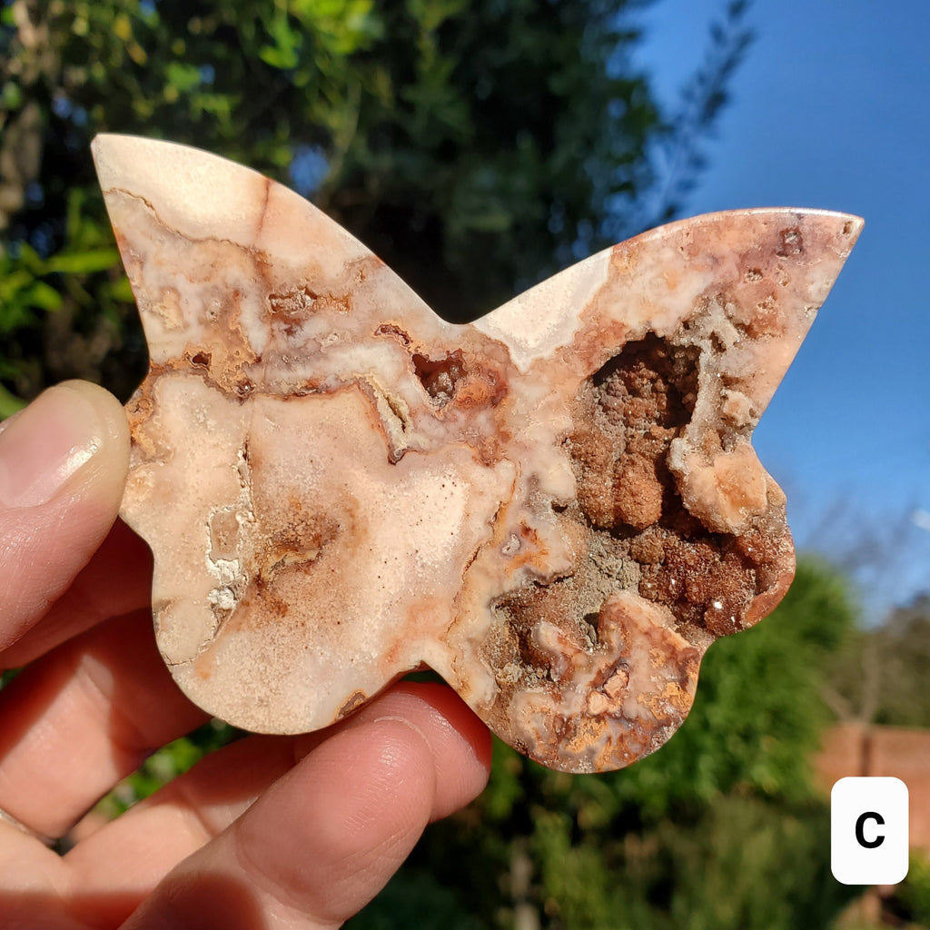Pink Lace Agate Butterfly with Druzy - Balance of the Physical, Mental, Emotional - Pink Agate Crystal Butterfly Carving
