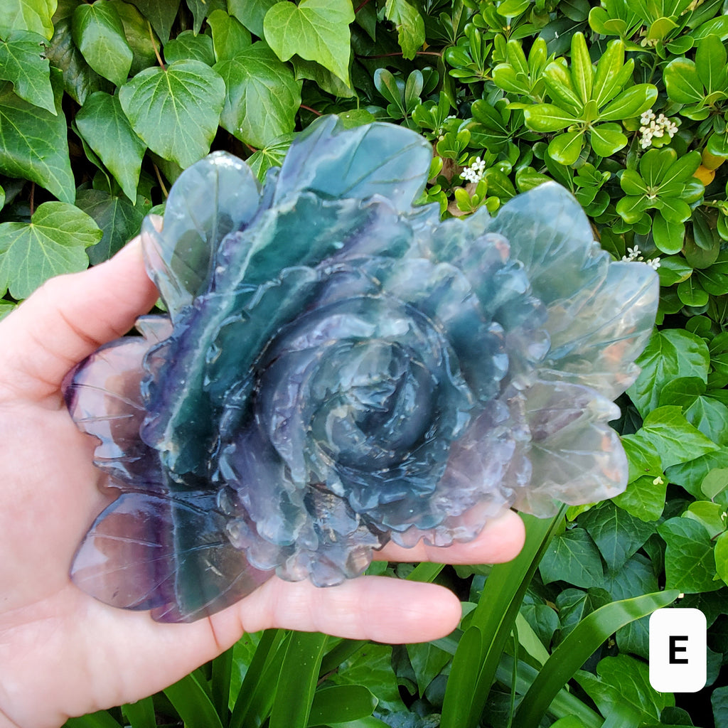 Big Rainbow Fluorite Standing Flower - Mental Clarity, Stability, Concentration, Protection - Fluorite Healing Crystals Gemstones