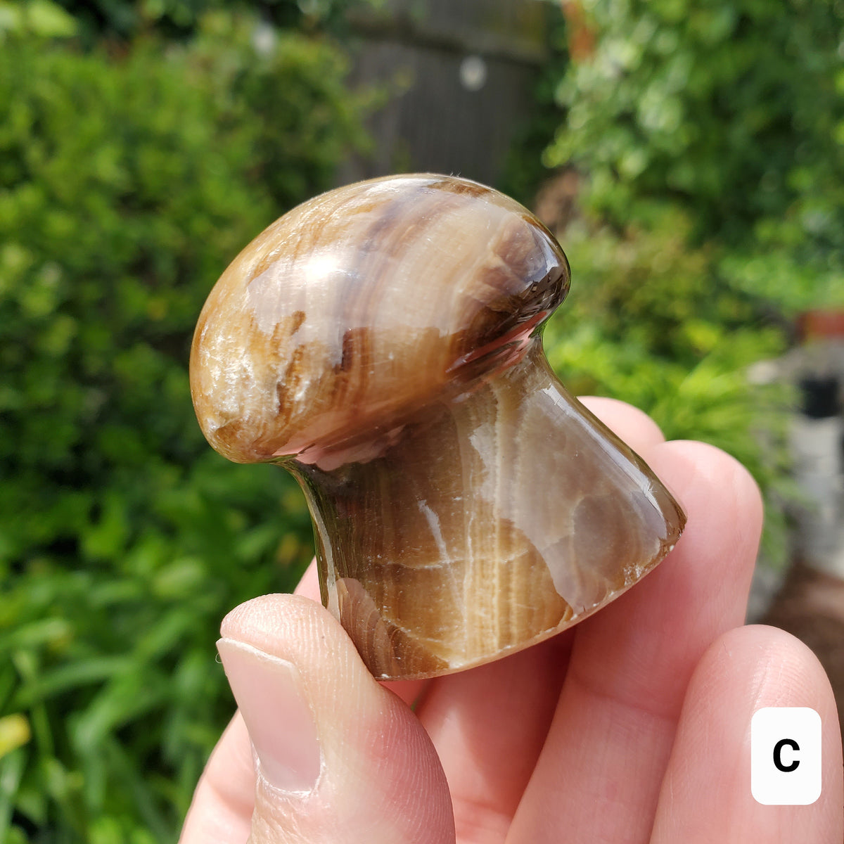 Cute Chocolate Calcite Mushroom - Awareness, Calming, Cleansing, Personal Growth - Calcite Mushie Carving Healing Gemstones