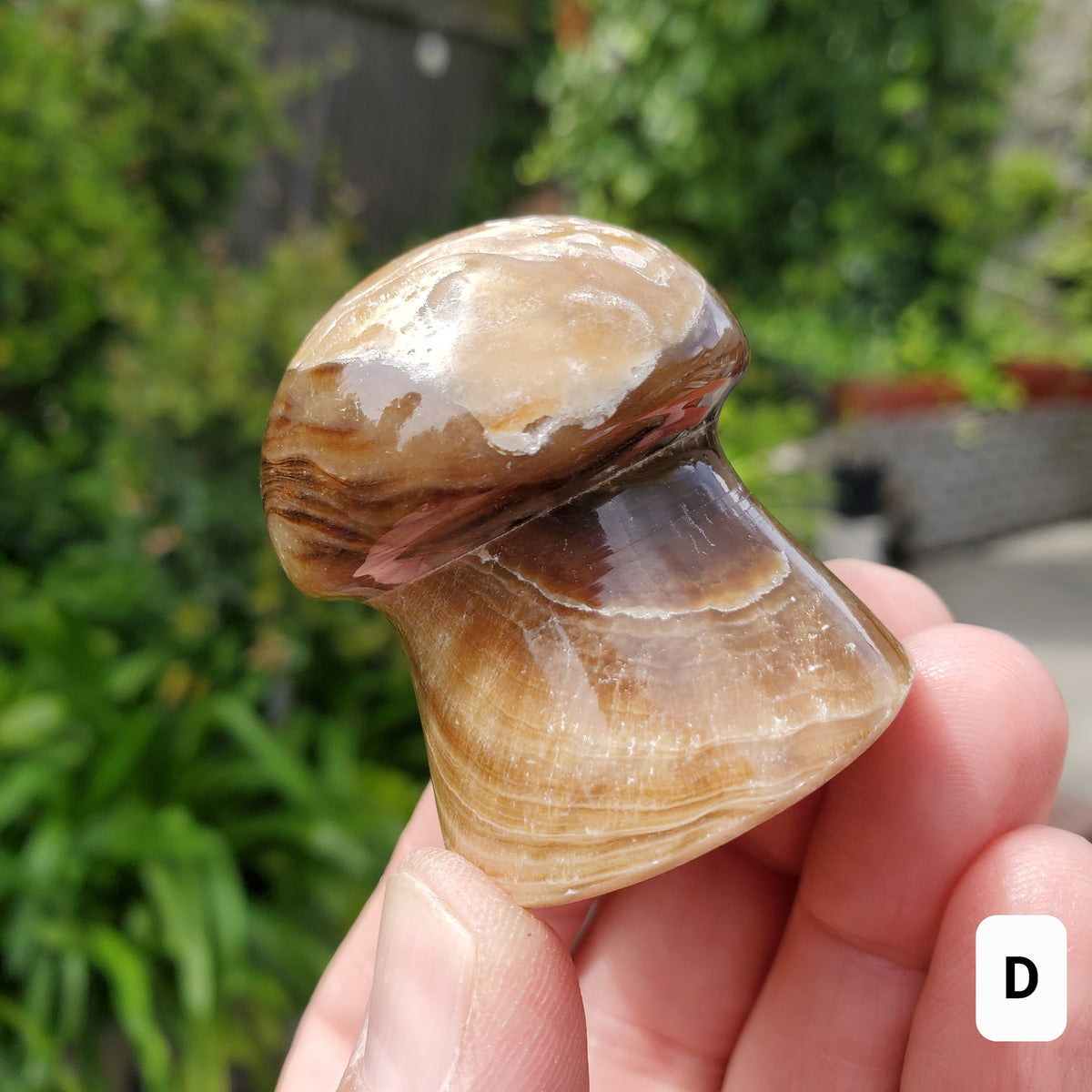 Cute Chocolate Calcite Mushroom - Awareness, Calming, Cleansing, Personal Growth - Calcite Mushie Carving Healing Gemstones