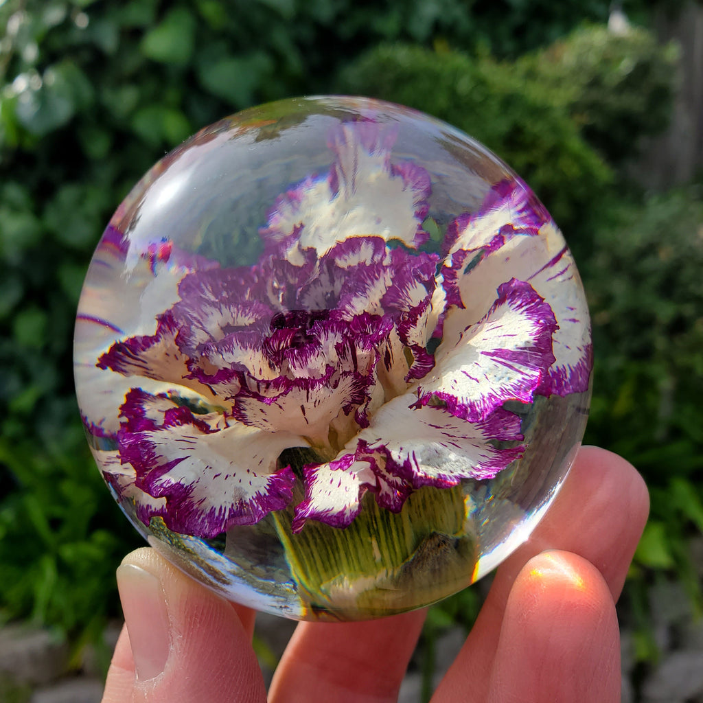 Purple Carnation Resin Sphere with Light Base | Handmade Resin Craft with Real Carnation Inside - Home Décor Night Light, Accent Lighting