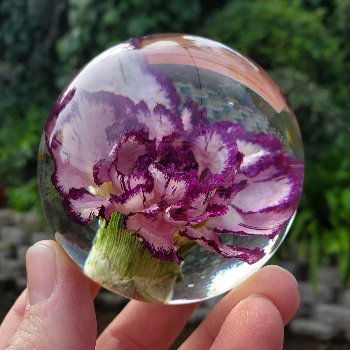 Purple Carnation Resin Sphere with Light Base | Handmade Resin Craft with Real Carnation Inside - Home Décor Night Light, Accent Lighting