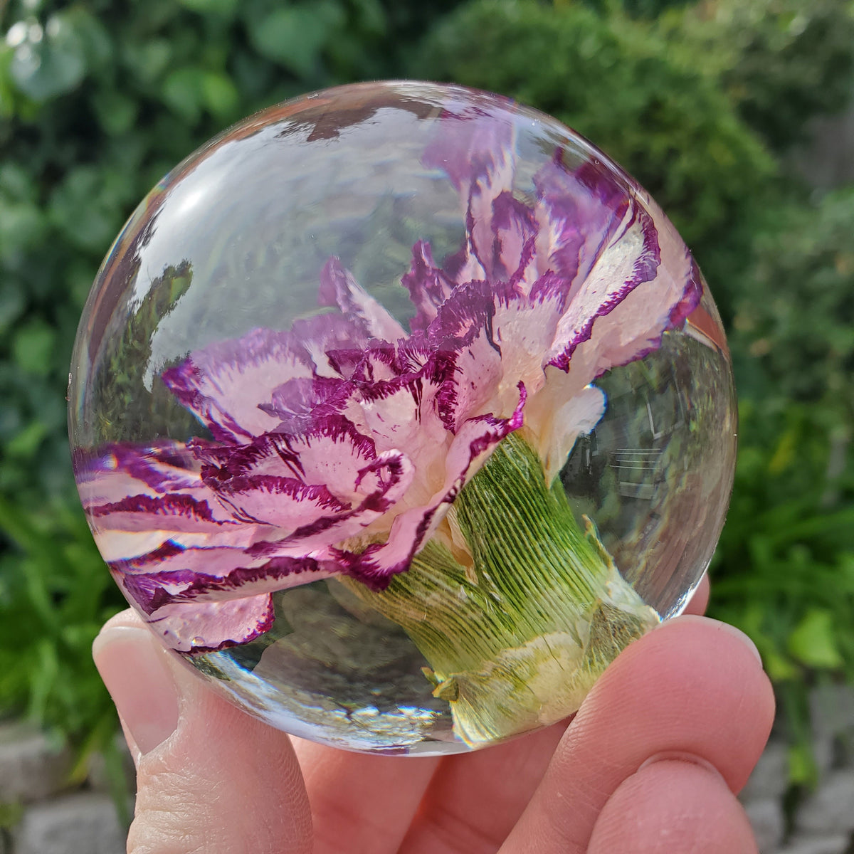 Purple Carnation Resin Sphere with Light Base | Handmade Resin Craft with Real Carnation Inside - Home Décor Night Light, Accent Lighting