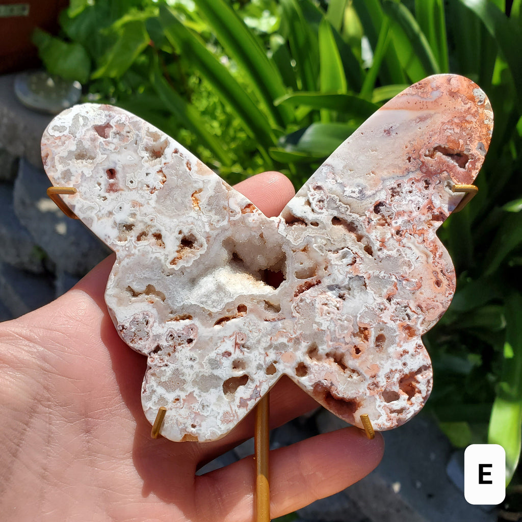 Pink Lace Agate Butterfly on Stand - Balance of the Physical, Mental & Emotional - Pink Agate Crystal Butterfly Healing Gemstone