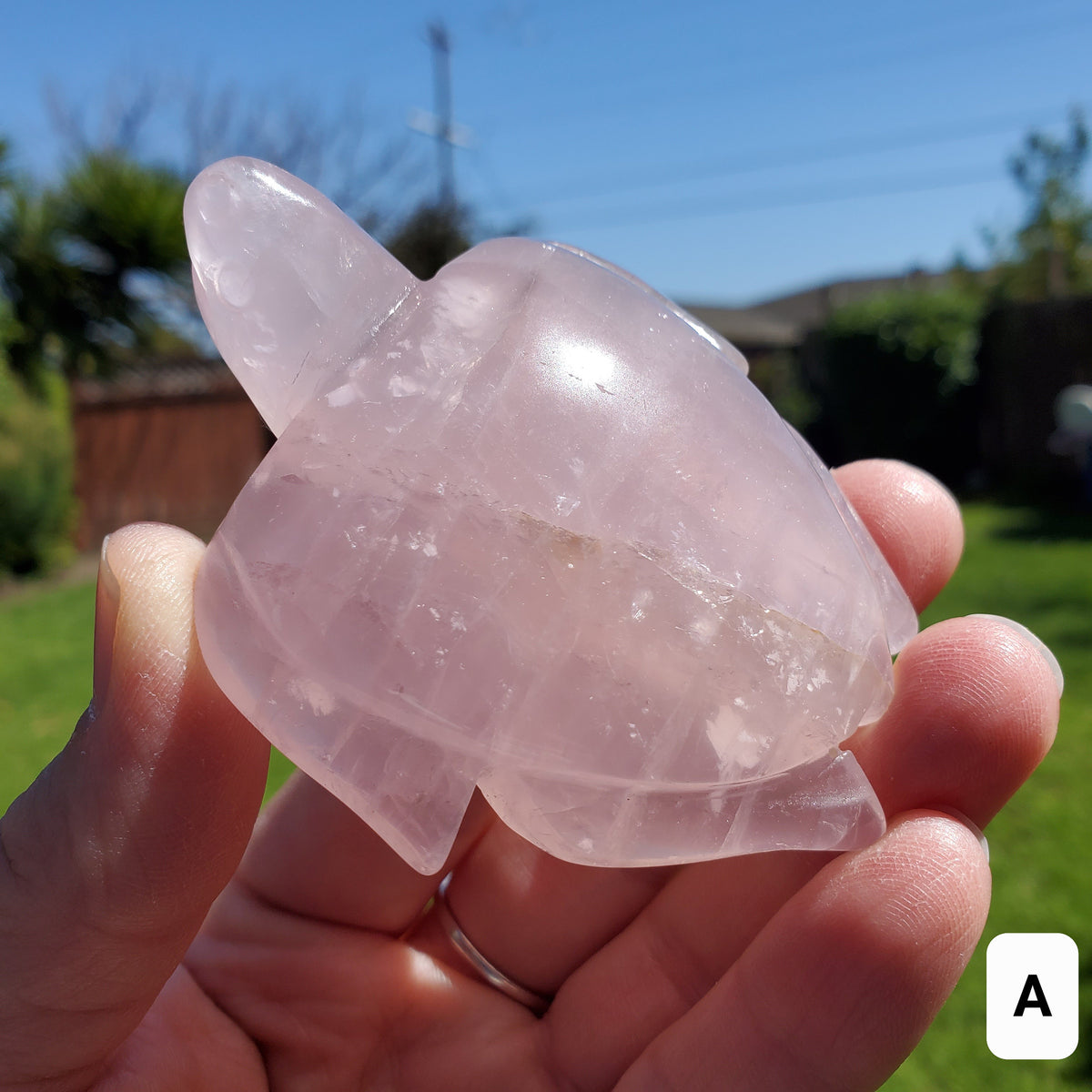 Rose Quartz Turtle - Universal & Unconditional Love, Compassion, Kindness - Crystal Turtle Healing Gemstone
