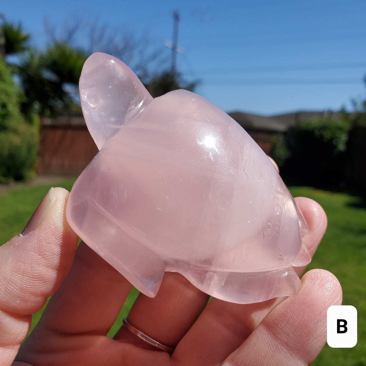Rose Quartz Turtle - Universal & Unconditional Love, Compassion, Kindness - Crystal Turtle Healing Gemstone