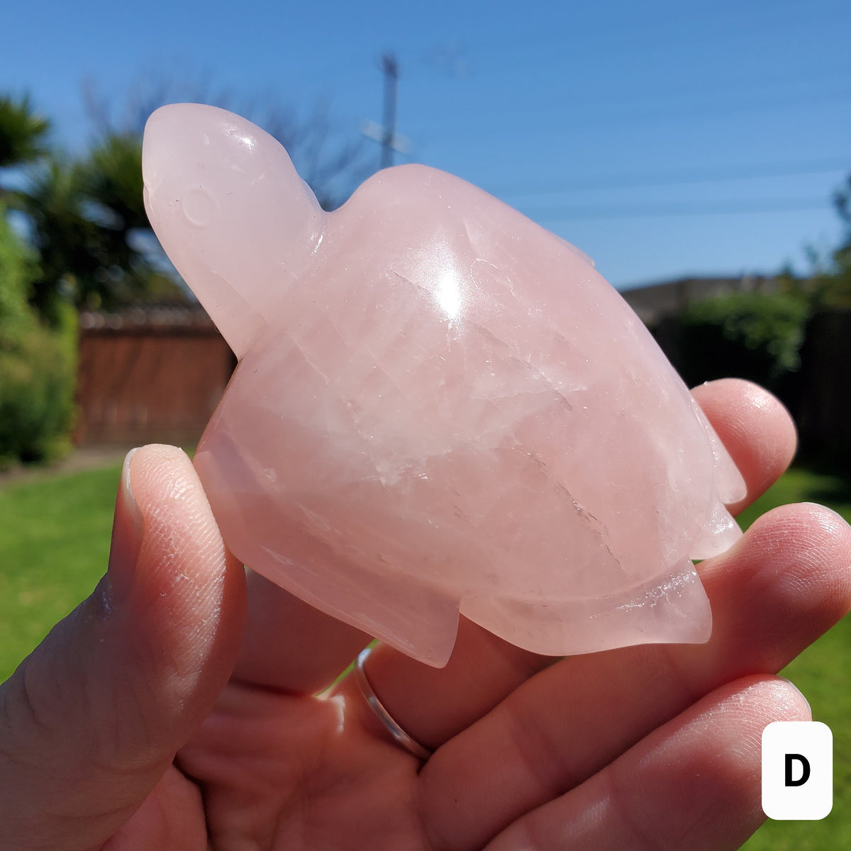 Rose Quartz Turtle - Universal & Unconditional Love, Compassion, Kindness - Crystal Turtle Healing Gemstone