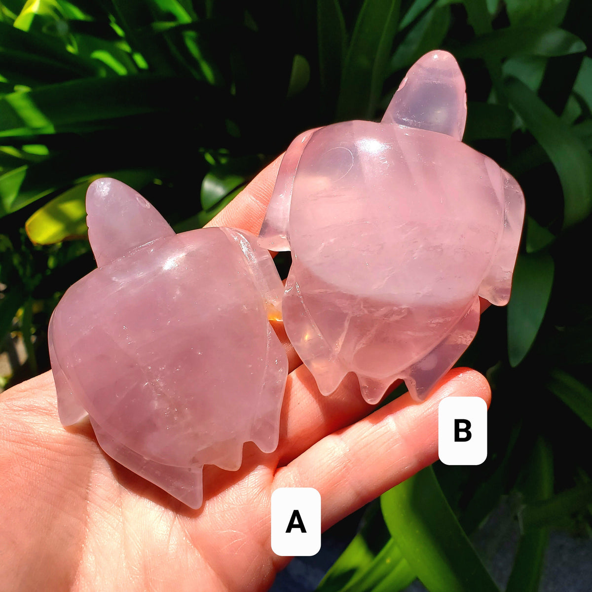 Rose Quartz Turtle - Universal & Unconditional Love, Compassion, Kindness - Crystal Turtle Healing Gemstone