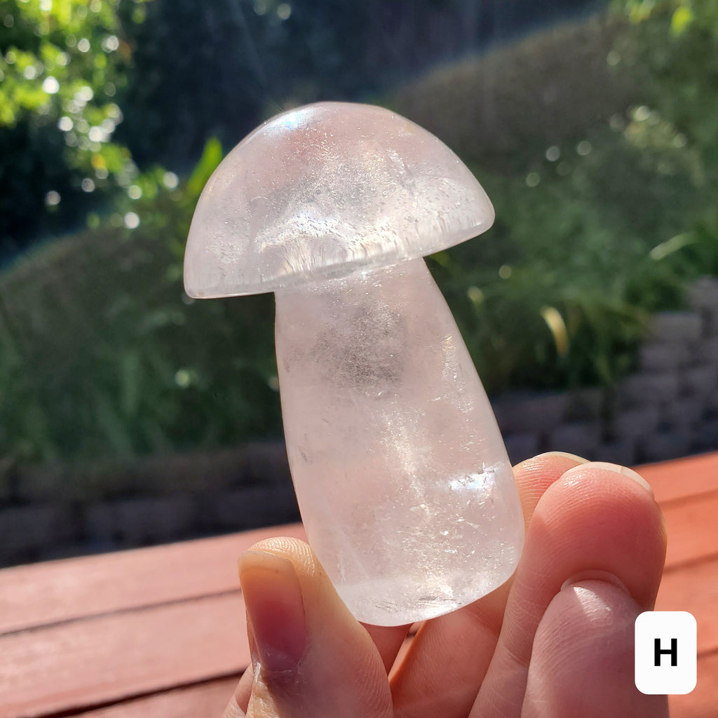 Chunky Quartz Mushroom - Counteracts the Negative, Energizes Positive Energy, Cleanses Your Aura - Clear Quartz Crystal Mushie Stone
