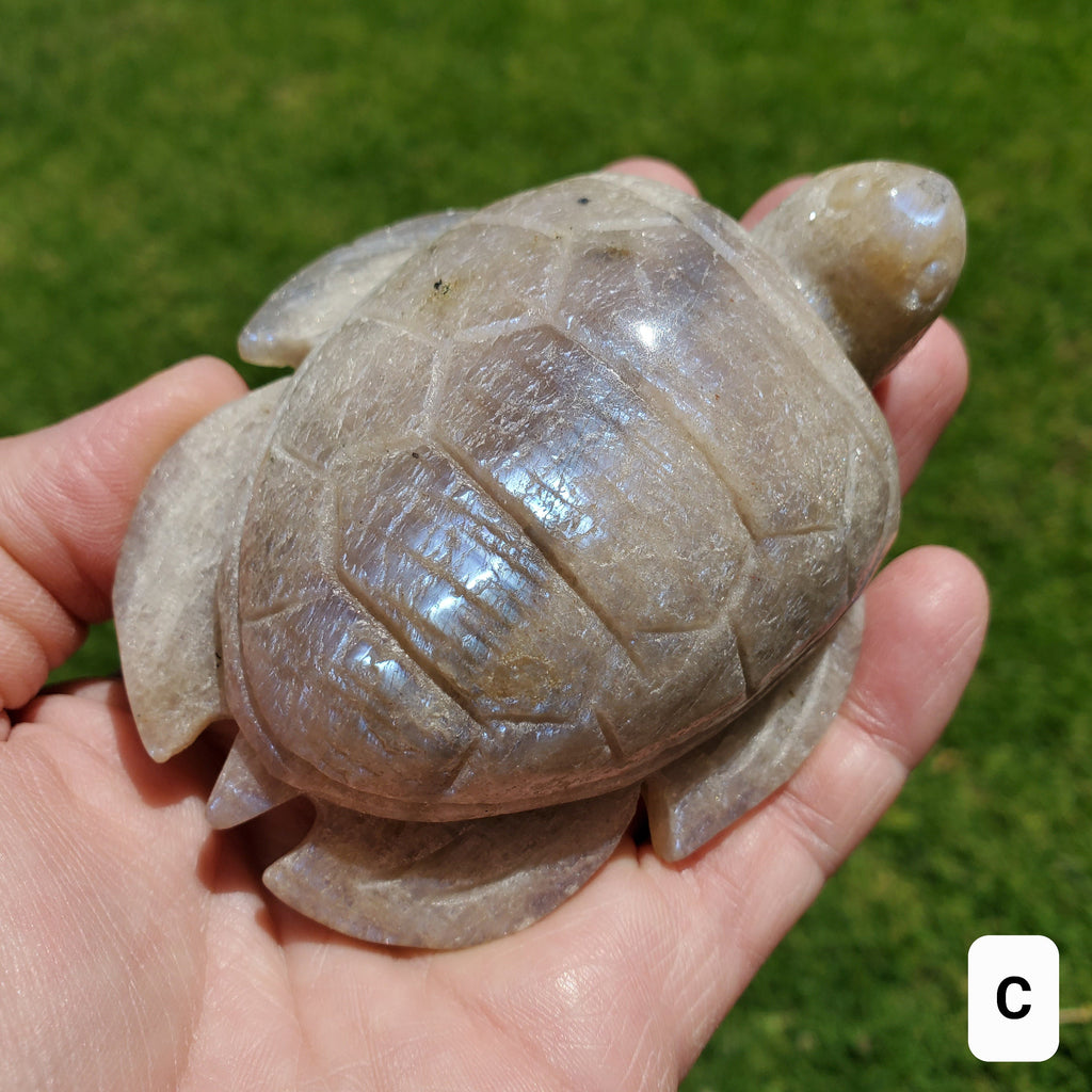 Flashy Moonstone Turtle with Sunstone - Uplifting, Raises Vibration, Feminine Energy, Empowering - Flashy Crystal Turtle Healing Gemstone