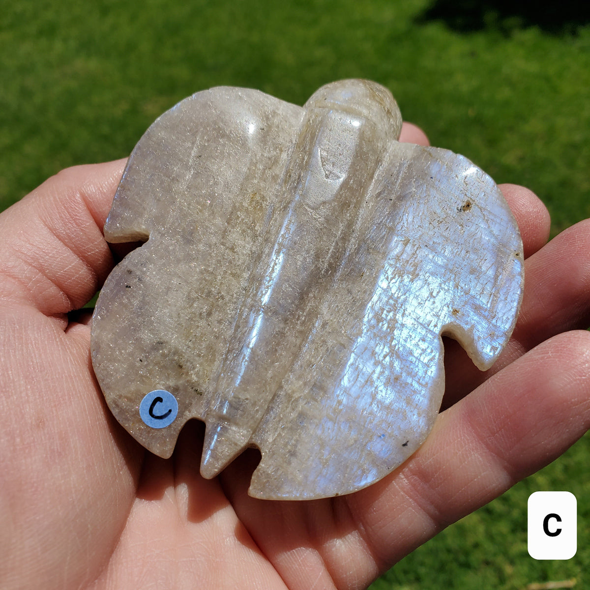 Flashy Moonstone Turtle with Sunstone - Uplifting, Raises Vibration, Feminine Energy, Empowering - Flashy Crystal Turtle Healing Gemstone