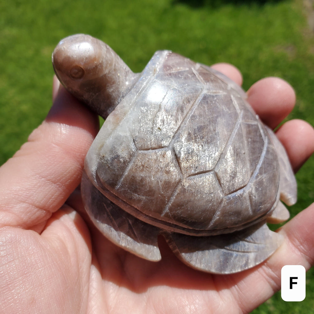 Flashy Moonstone Turtle with Sunstone - Uplifting, Raises Vibration, Feminine Energy, Empowering - Flashy Crystal Turtle Healing Gemstone