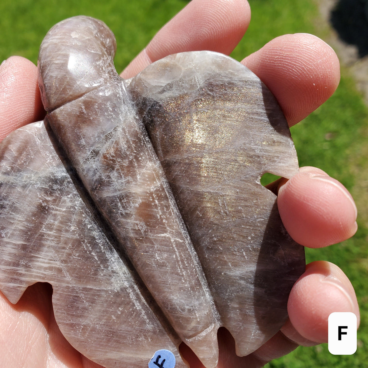 Flashy Moonstone Turtle with Sunstone - Uplifting, Raises Vibration, Feminine Energy, Empowering - Flashy Crystal Turtle Healing Gemstone