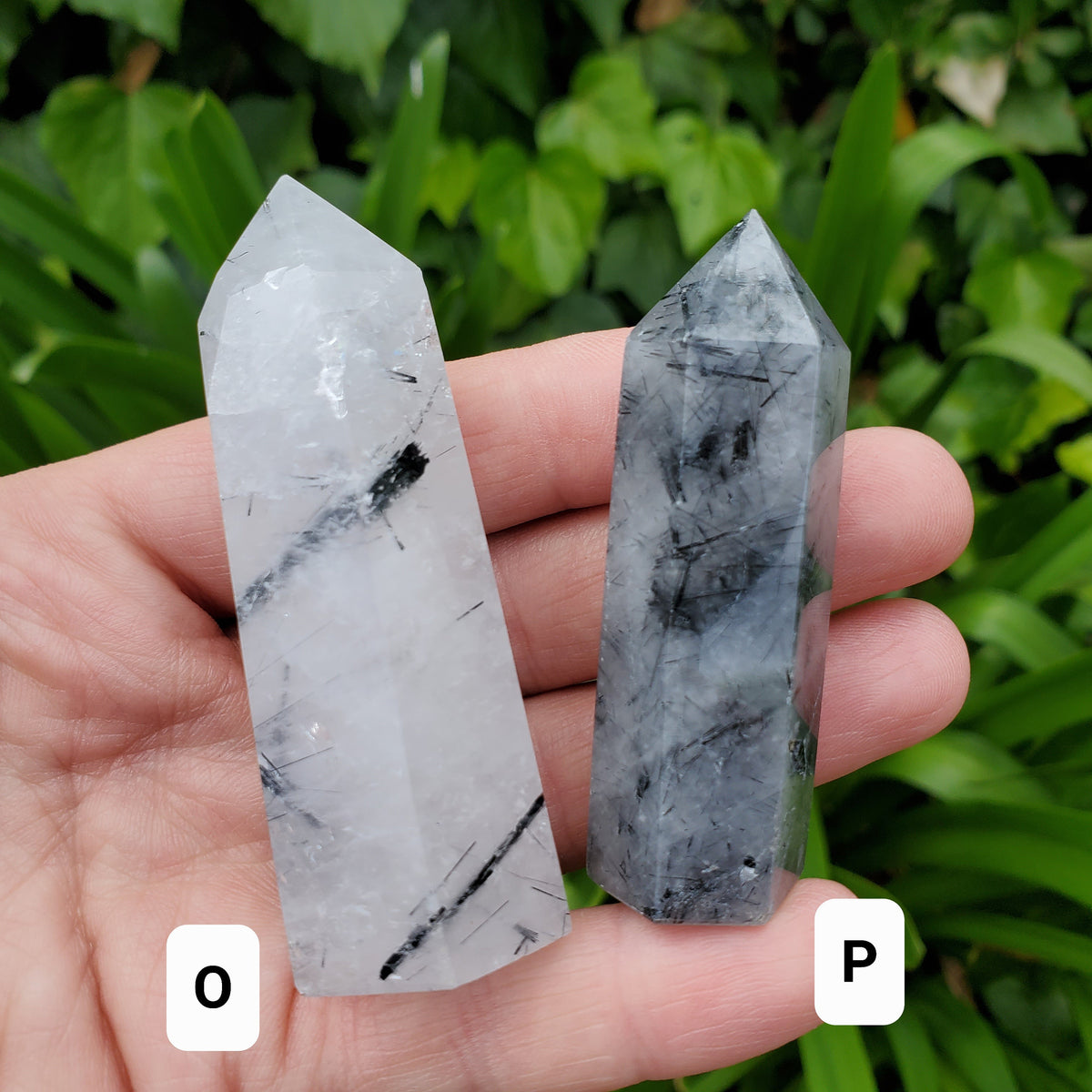 Tourmaline in Quartz Towers - Magnification, Clarity, EMF Protection - Tourmalinated Quartz Crystal Point Healing Gemstones