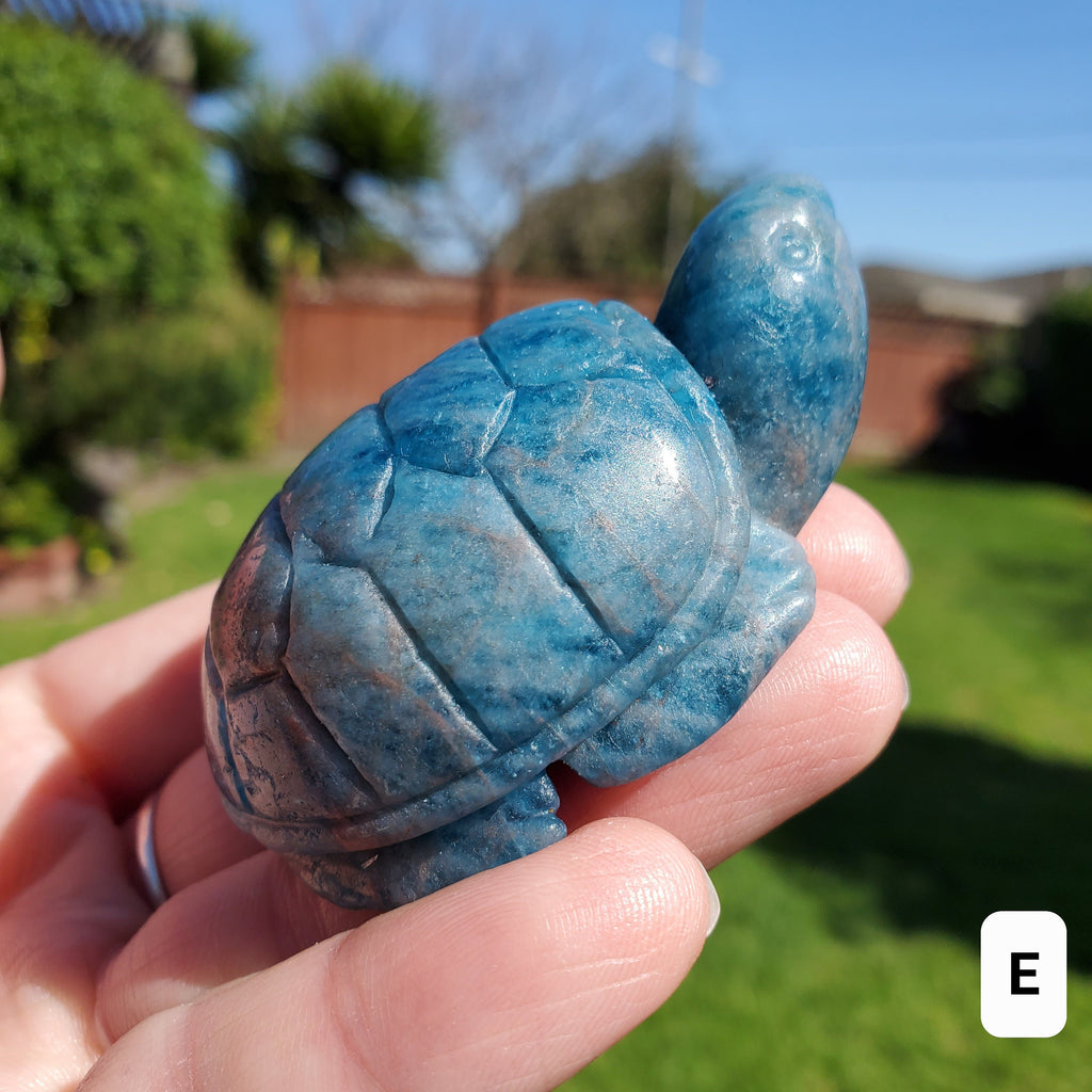 Blue Apatite Turtle - Intuition, Mental Clarity, Communication, Manifestation - Blue Crystal Turtle Carving Stone Healing Gemstones