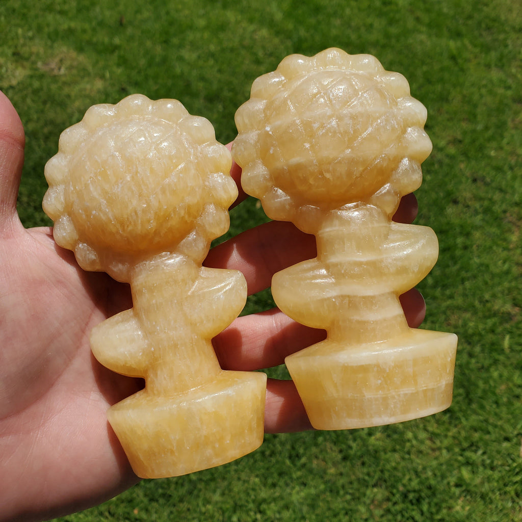 Big Chunky Orange Calcite Standing Sunflower - Confidence, Self-Esteem, Creative & Sexual Energy - 4.5" Crystal Sunflower Healing Gemstones