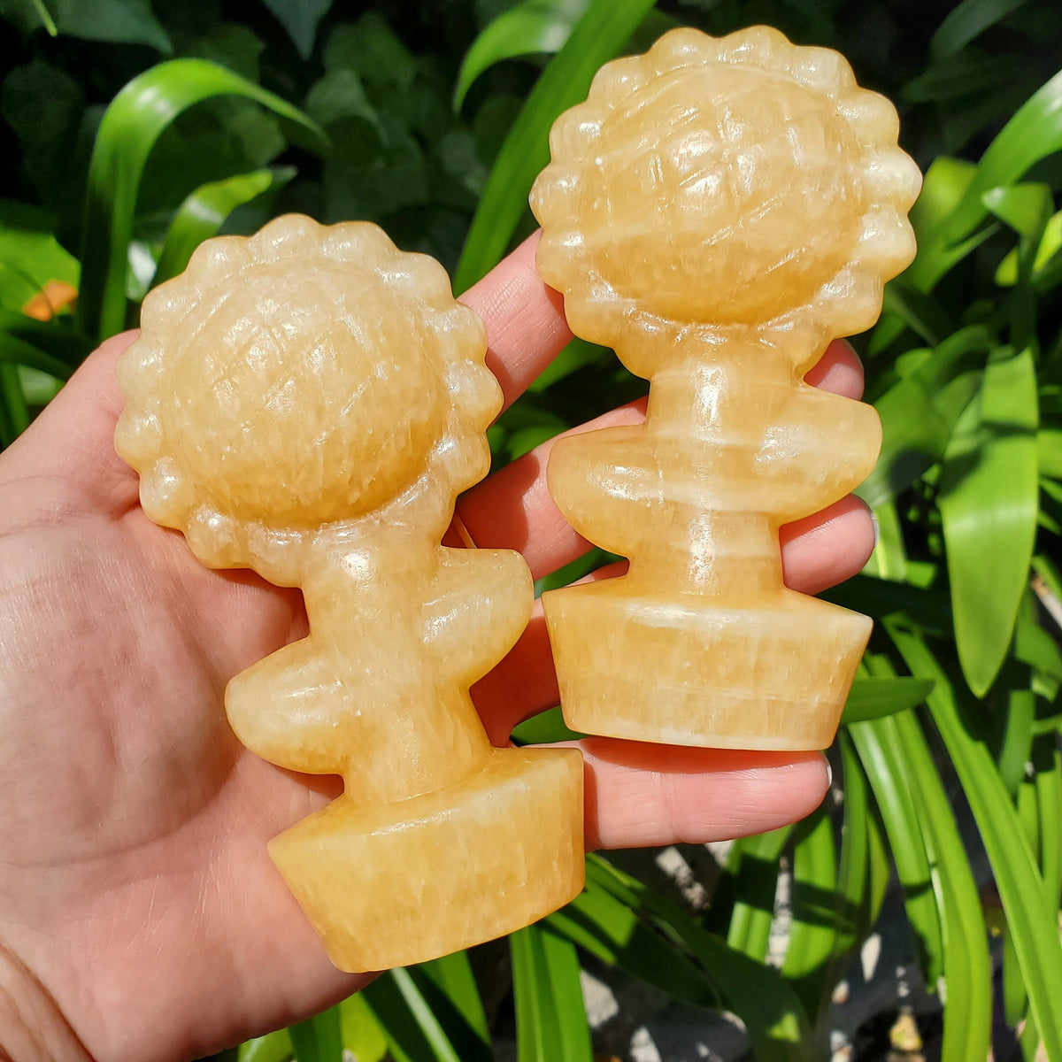 Big Chunky Orange Calcite Standing Sunflower - Confidence, Self-Esteem, Creative & Sexual Energy - 4.5" Crystal Sunflower Healing Gemstones