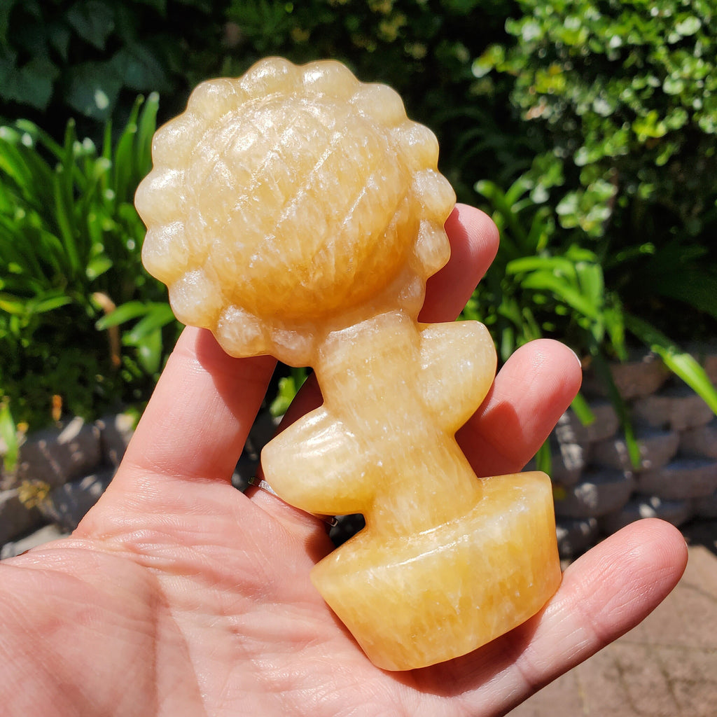 Big Chunky Orange Calcite Standing Sunflower - Confidence, Self-Esteem, Creative & Sexual Energy - 4.5" Crystal Sunflower Healing Gemstones