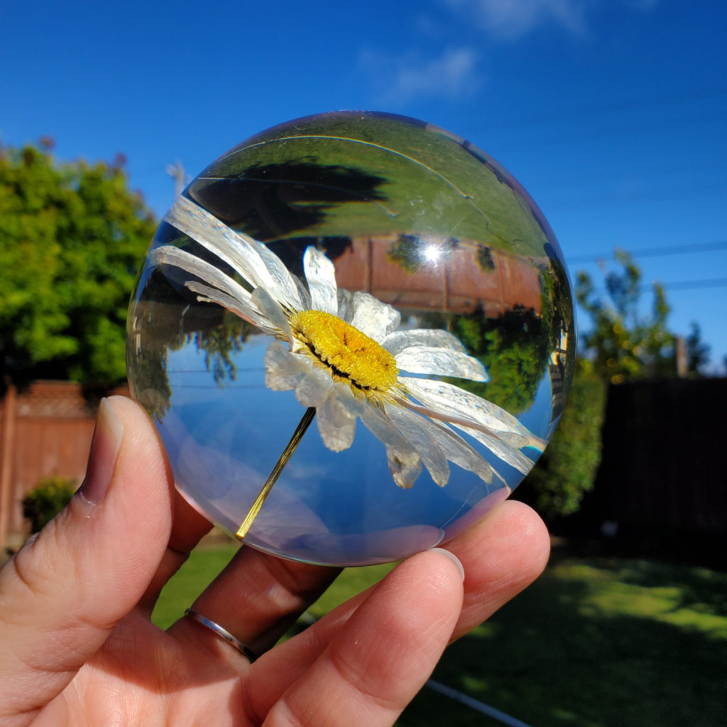 Daisy Accent Light | Handmade Resin Craft with Real Daisy Inside - Resin Sphere with Light Base - Home Décor Night Light for Nightstand
