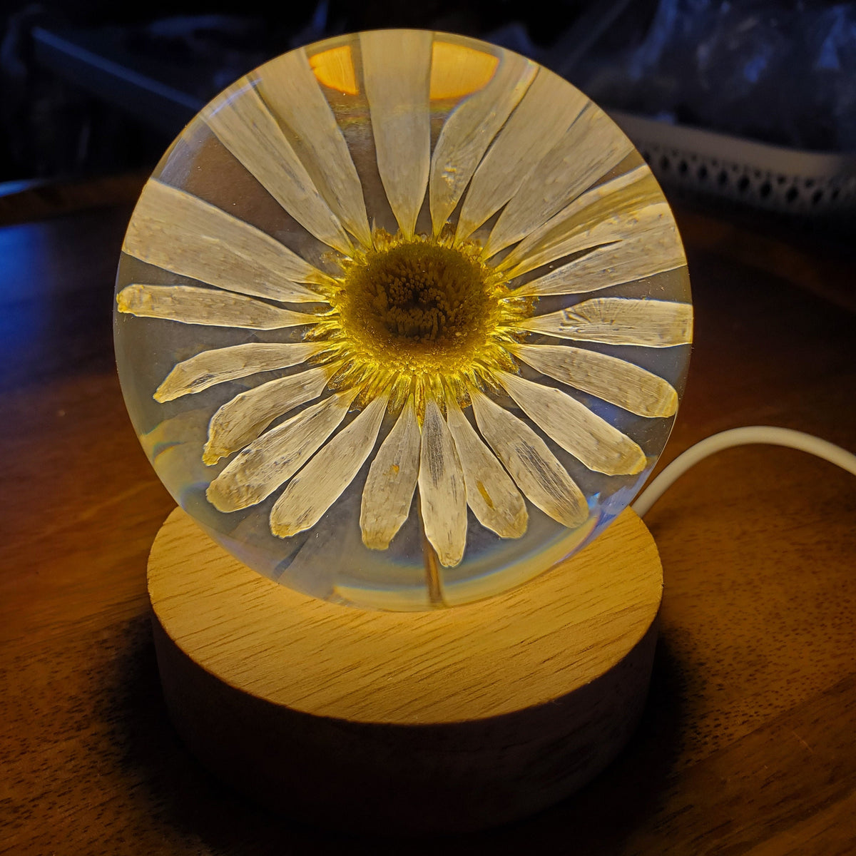 Daisy Accent Light | Handmade Resin Craft with Real Daisy Inside - Resin Sphere with Light Base - Home Décor Night Light for Nightstand