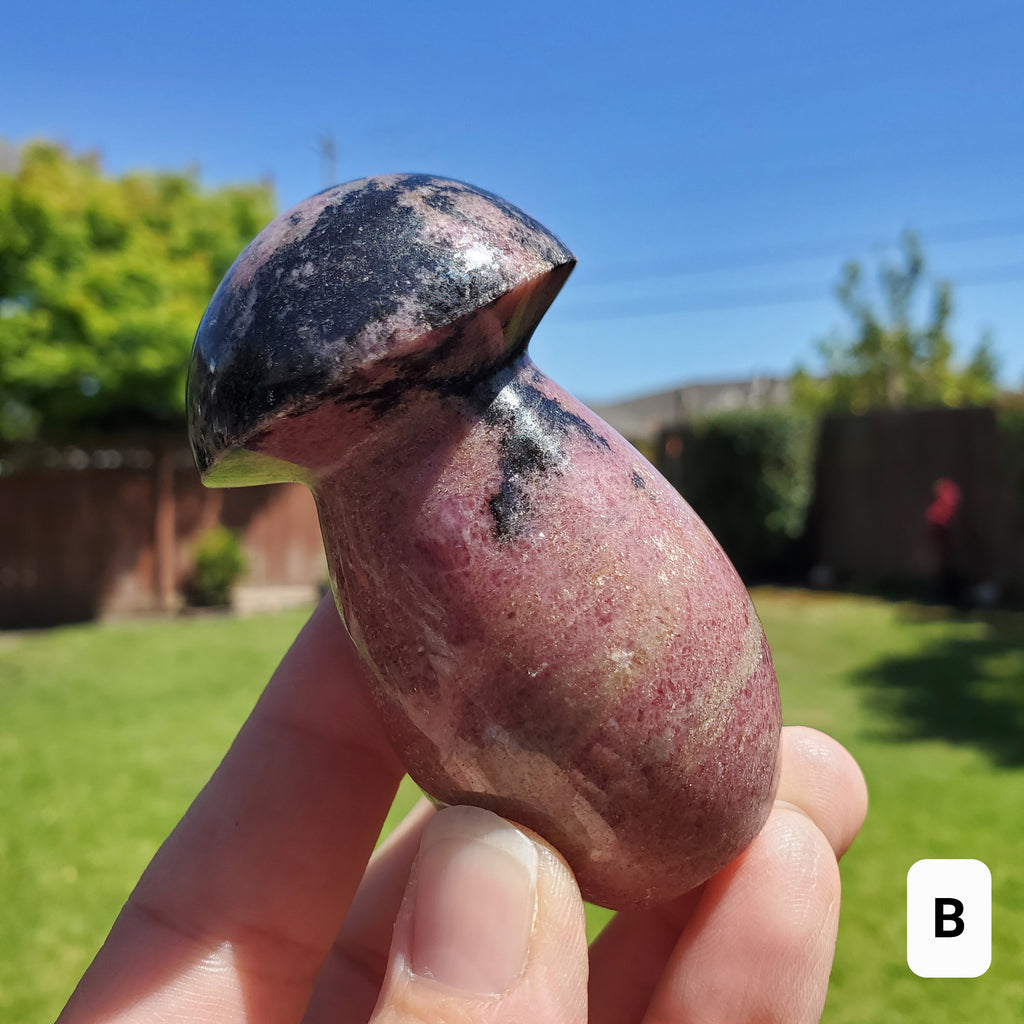 Chunky Rhodonite Mushroom - Self Love, Balance, Joy, Happiness - Pink and Black Crystal Mushie Healing Crystal Gemstones