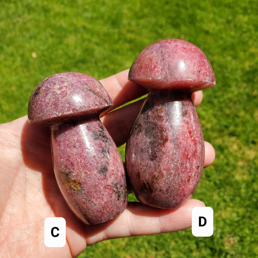 Chunky Rhodonite Mushroom - Self Love, Balance, Joy, Happiness - Pink and Black Crystal Mushie Healing Crystal Gemstones